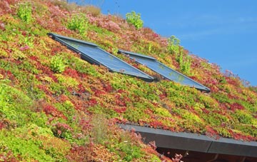 Lower Houses living roof systems