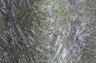 Lower Houses fibreglass roof work